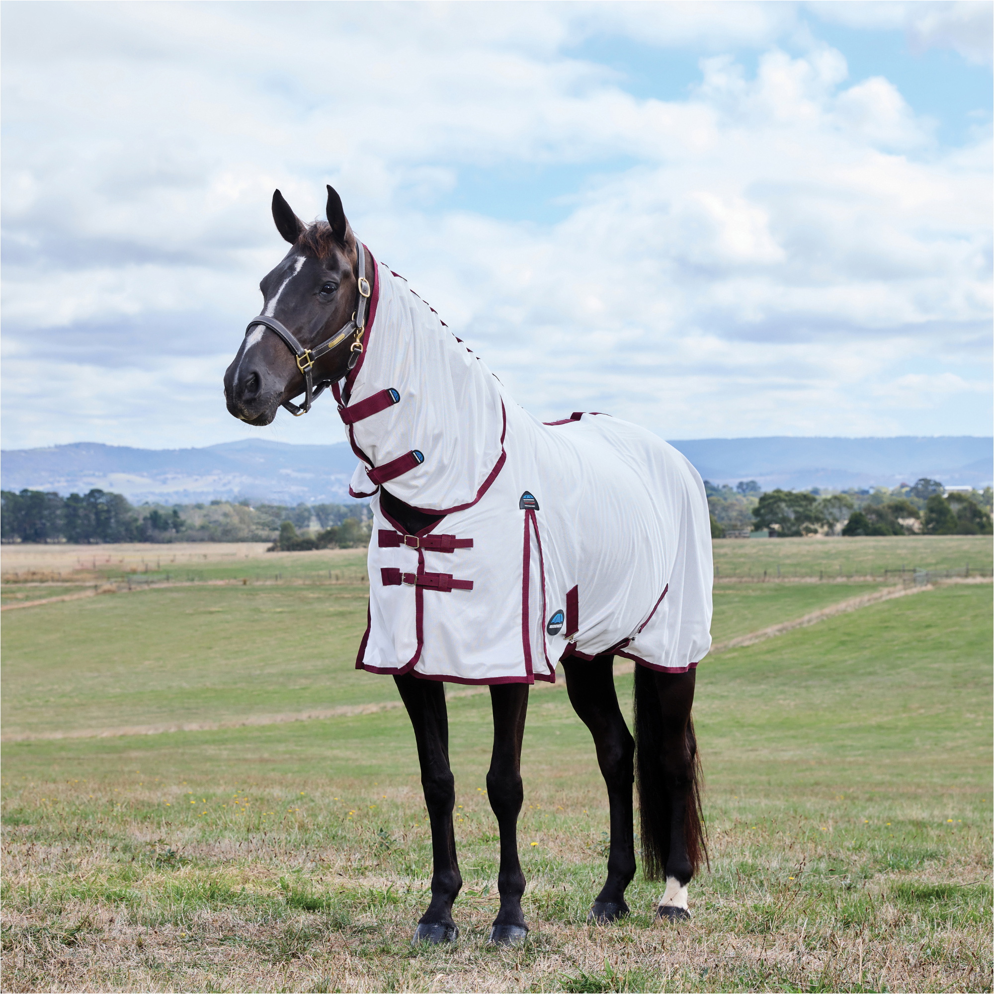 2026 WeatherBeeta Comfitec Essential Combo Fly Sheet 1029542001 - White / Burgunderrot